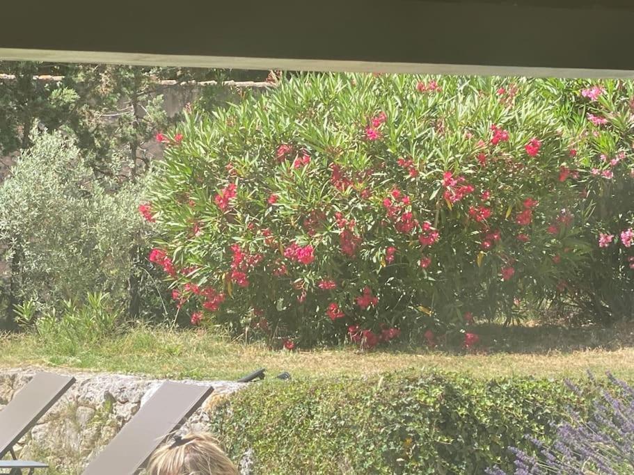 Ar De Vie Villa Chaleureuse En Provence Ventabren Extérieur photo
